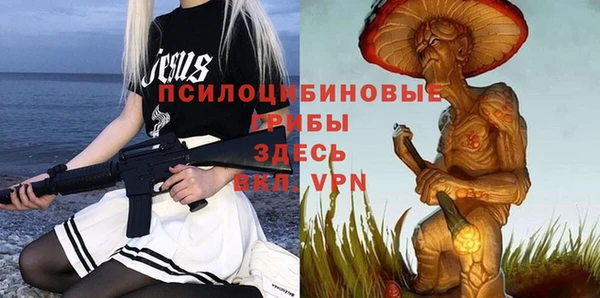твердый Рославль