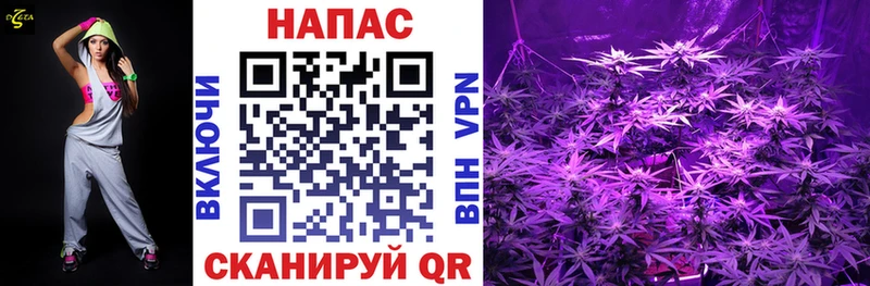Канабис Amnesia  Абаза 